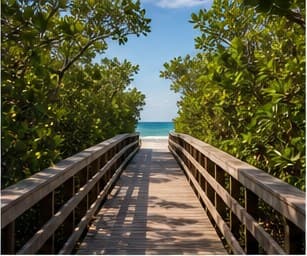 Coastal boardwalk and outdoor scenery in Naples Florida