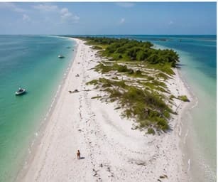 White sand Gulf beach near Naples Florida